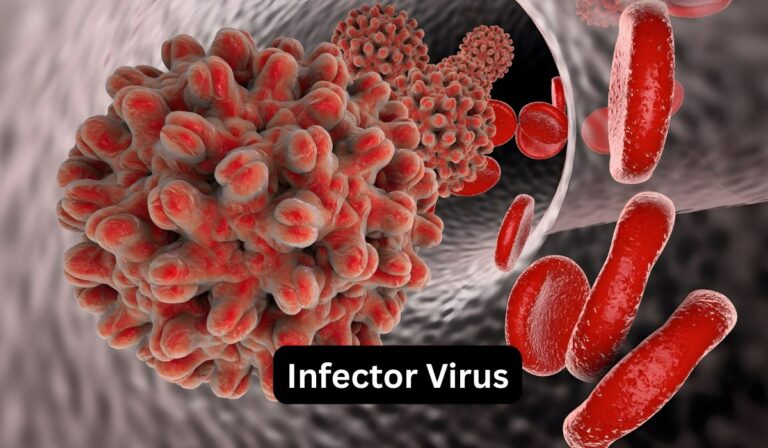 What Is an Infector Virus? Types, Symptoms, and Prevention Explained Infector Virus