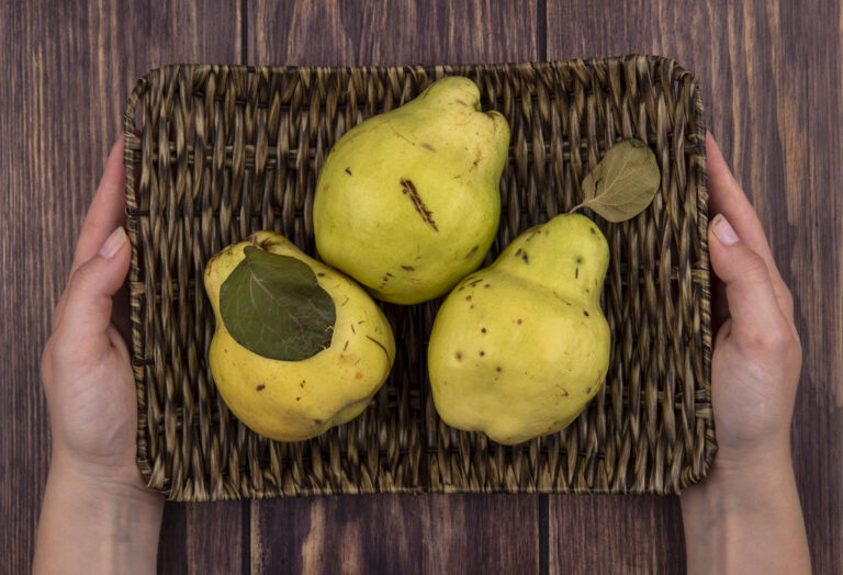 Navigator Pear